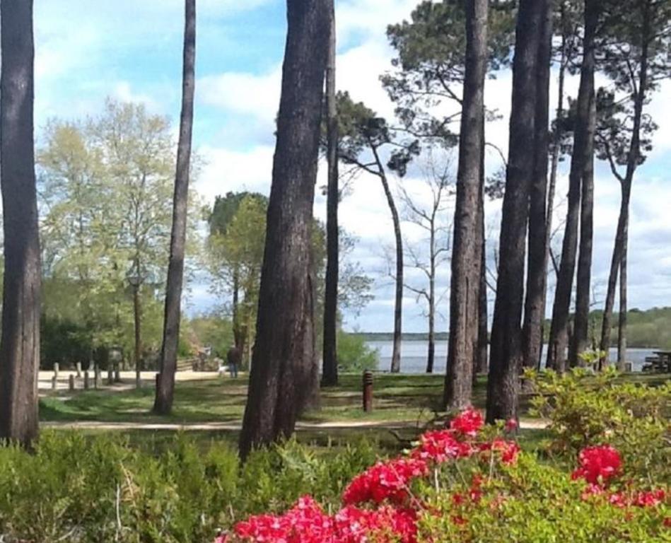 Hotel Au Bon Coin Du Lac Mimizan-Plage Exteriör bild